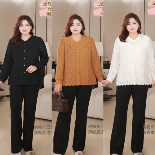 PWD33243【现货仅上衣】温柔减龄V领花边蕾丝大码女装【衣长67】