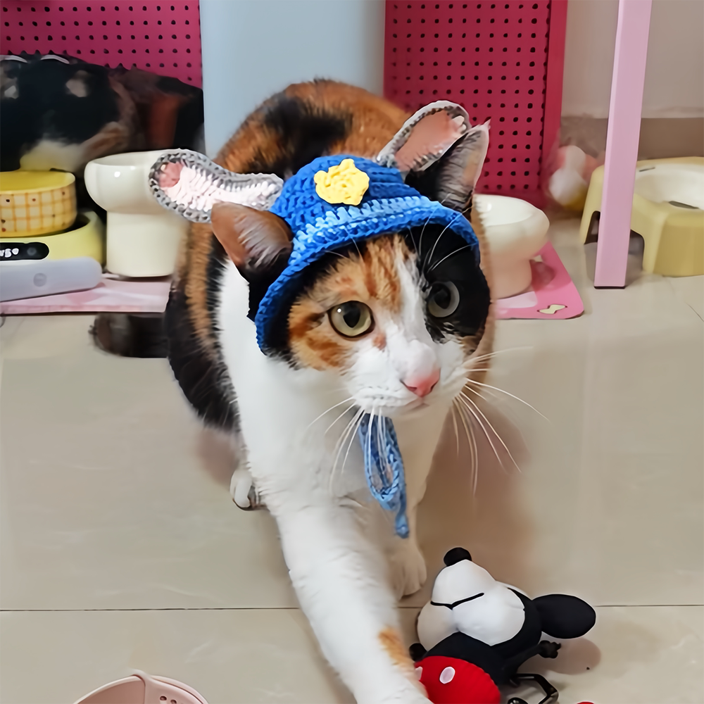 抖音同款迪士尼疯狂动物城兔子朱迪猫咪帽子成品 可爱/手工/针织