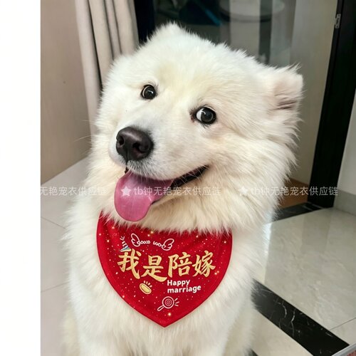 婚礼中式喜字猫狗口水巾