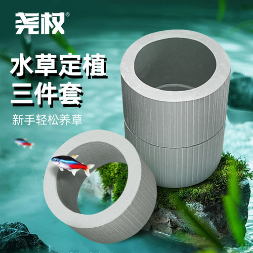 尧权造景种植环水草定值