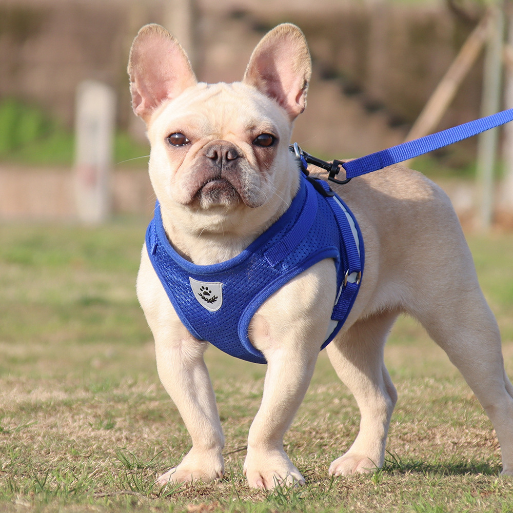 Adjustable Reflective Cat dog Harness Leash Collar Vest Pet