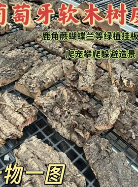 葡萄牙软木树皮鹿角蕨蝴蝶兰等绿植挂板  天然树皮爬宠缸造景装饰