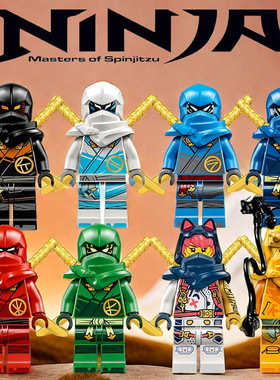 兼容L高新款忍者积木人仔第17季神龙崛起稀有人偶劳埃德扎克特