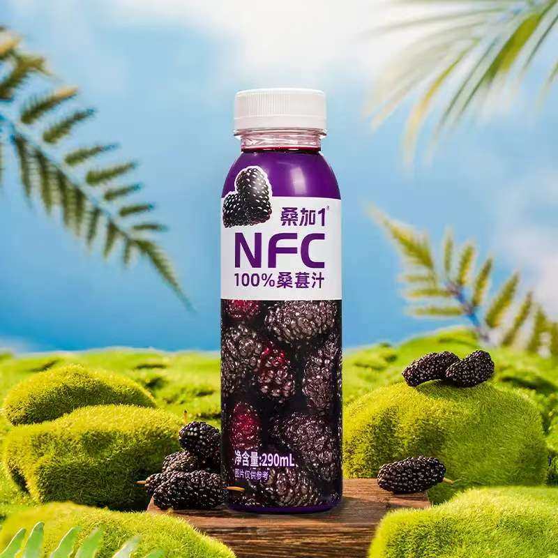 桑加1NFC100%桑葚汁290ml瓶装整箱中禾宝桑出品桑葚果汁饮料,咖啡/麦片/冲饮,纯果蔬汁/纯果汁,淘宝优惠券,粉丝福利购,淘宝优惠卷