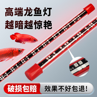 龙鱼灯专用鱼缸灯led灯防水超亮神灯潜水三基色鹦鹉照明增艳灯管