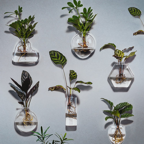 壁挂花瓶水培植物墙上创意挂件