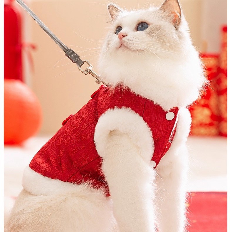 宠物小猫咪衣服秋冬过年保暖绒衣布偶小猫蓝猫防掉毛加绒新年