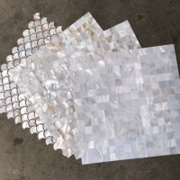 Shell Mosaic Self -Ads Television фоновая настенная крыльца