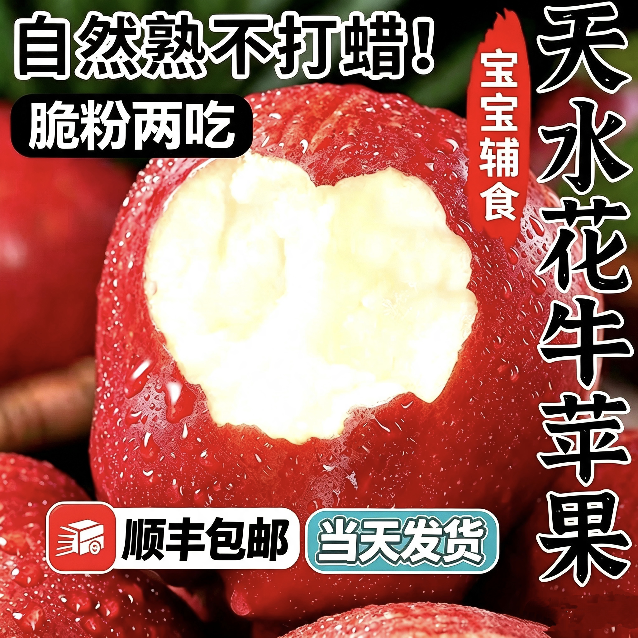 甘肃花牛苹果新鲜粉面沙甜