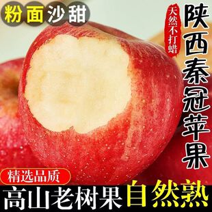 陕西正宗秦冠冰糖苹果粉面宝宝老人沙甜刮泥新鲜水果整箱批发