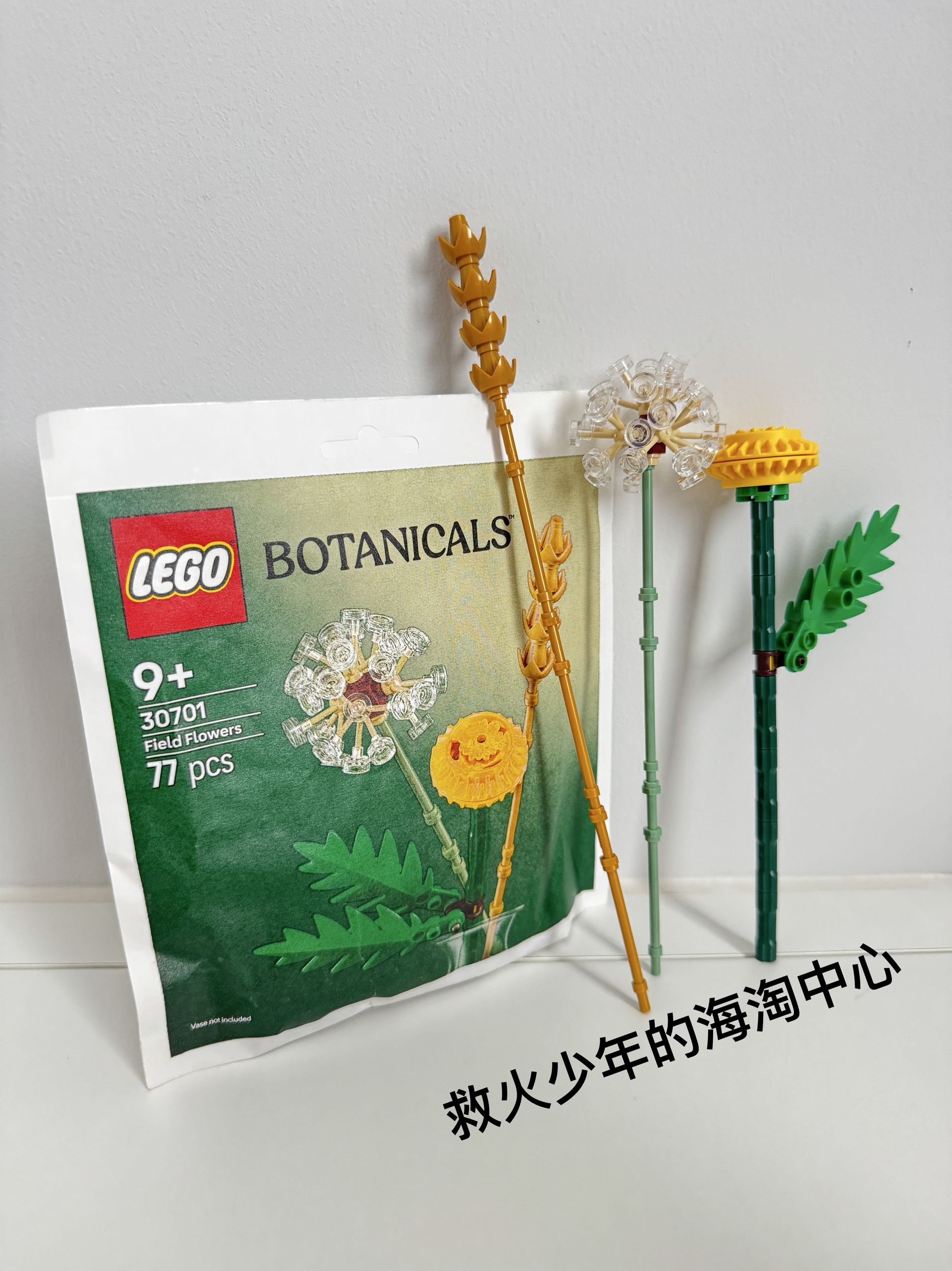 LEGO乐高 30701 蒲公英清新野花 花束积木玩具伴手礼 正品包邮