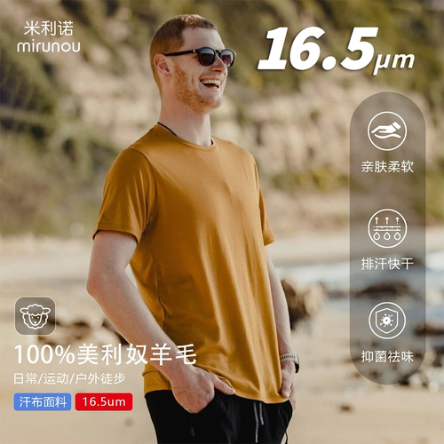 16.5um美利奴羊毛男短袖T可机洗