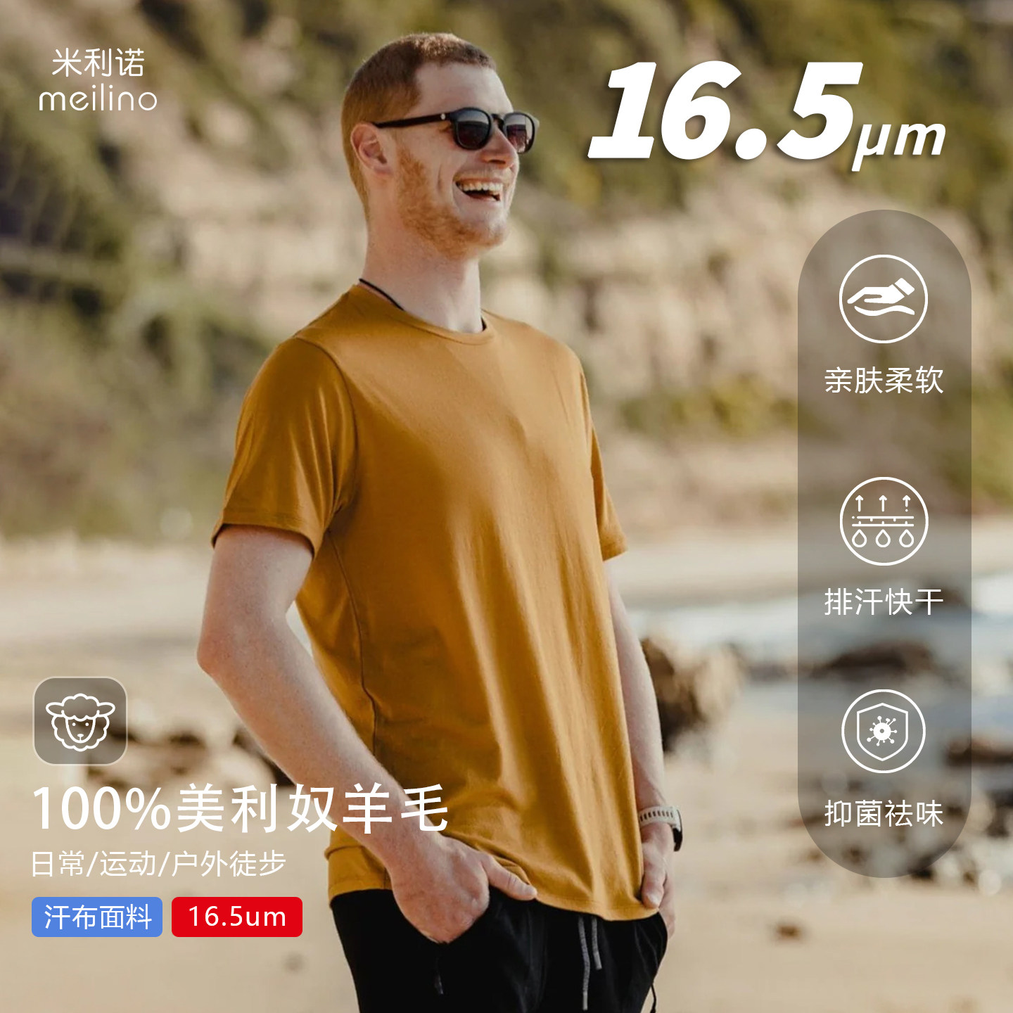 16.5um美利奴羊毛男短袖T可机洗