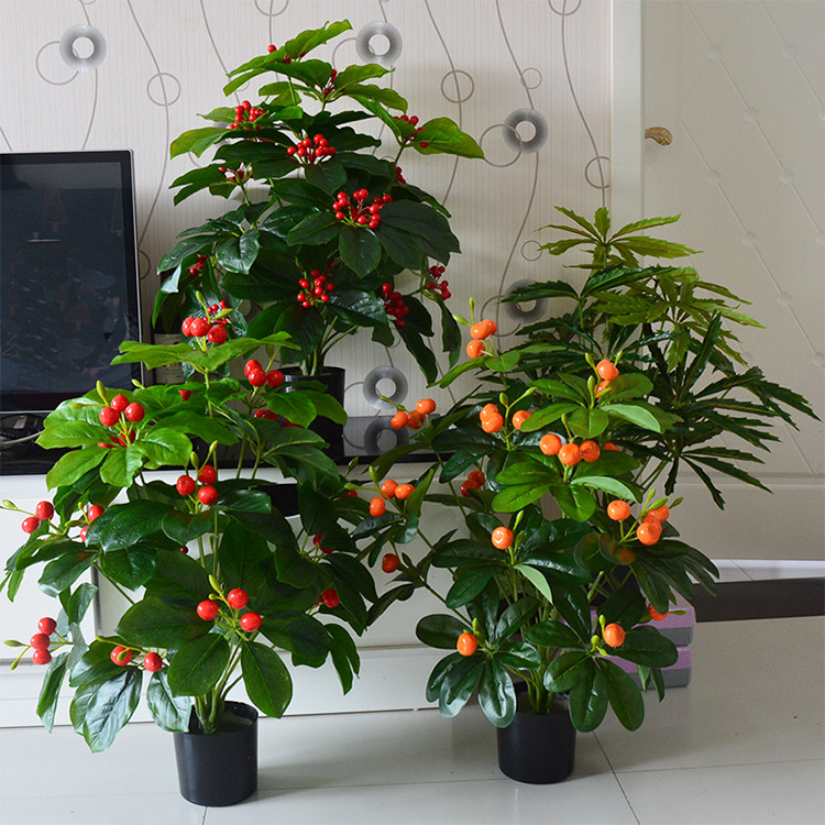 仿真小绿植发财果小金桔金钱圣果客厅假花客地装饰盆栽植物摆设花,鲜花速递/花卉仿真/绿植园艺,仿真绿植,淘宝优惠券,粉丝福利购,淘宝优惠卷