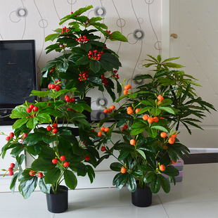 仿真小绿植发财果小金桔金钱圣果客厅假花客地装饰盆栽植物摆设花