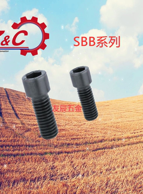 SBB3/4/5/6/8-5/6/8/10/12/16/20内六角小径螺栓