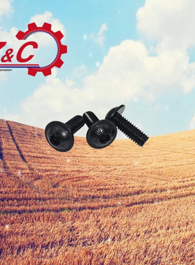 内六角平头带垫螺钉 TAR16-M3-L6/L8/L10/L12/M4/M5/M6-L8-L10