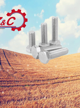 RSCB6-10/16/20/25/30不锈钢外六角螺丝螺栓RSCB8-10/16/20/25/30