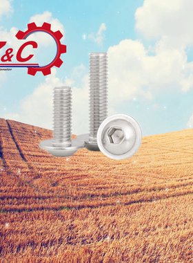 内六角平头带垫螺钉 TAR17-M3-L6/L8/L10/L12/M4/M5/M6-L8-L10