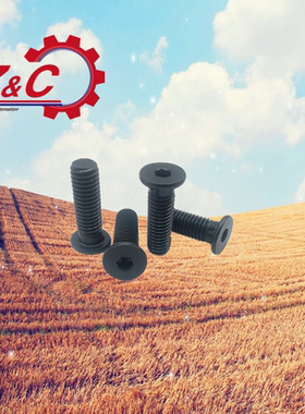 TAF51-M3/M4/M5/L6/L8/L10/L12L14L16L20超短头内六角圆柱头螺钉