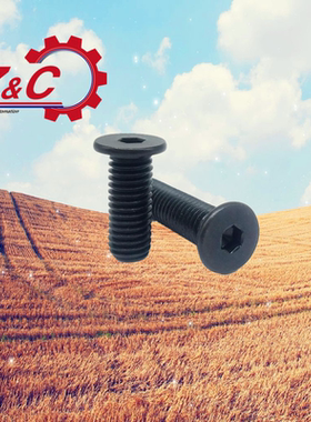 超短头内六角螺栓/极低头内六角螺丝C-CBSS2/2.5*3/4/5/6/8/1012