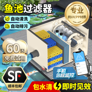 鱼池过滤器转鼓微滤机自动反冲洗鱼便分离户外庭院锦鲤鱼池水循环