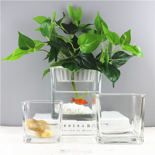 小清新正方形水培器皿植物花盆玻璃花瓶透明方缸绿萝睡莲鱼缸 包邮