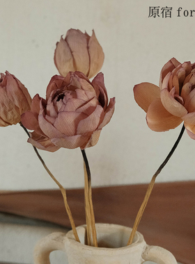 天然干荷花莲花干花装饰风干莲蓬荷叶摆件禅意插花道具家居文艺风