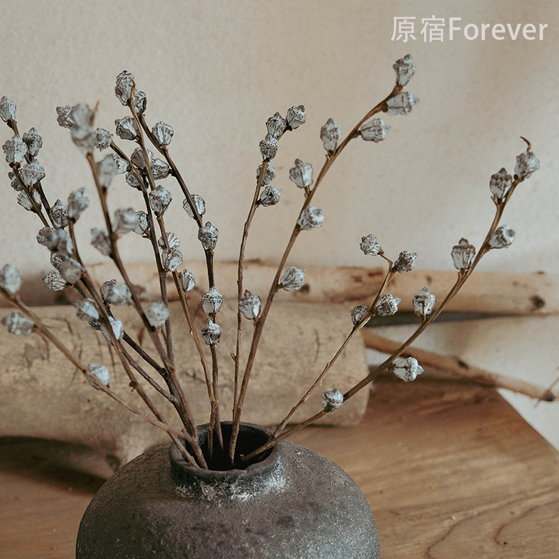 风干尤加利果干花小果装饰花束高级感天然植物材料家居摆件干树枝