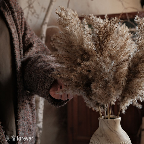侘寂风天然芦苇干花插花花束