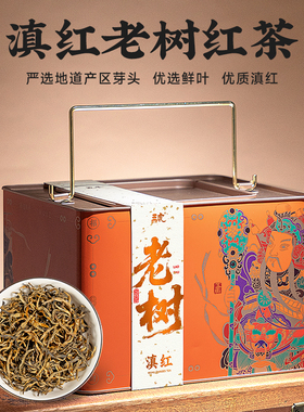 五虎老树滇红茶叶高山红茶橙色招财罐大份量500克
