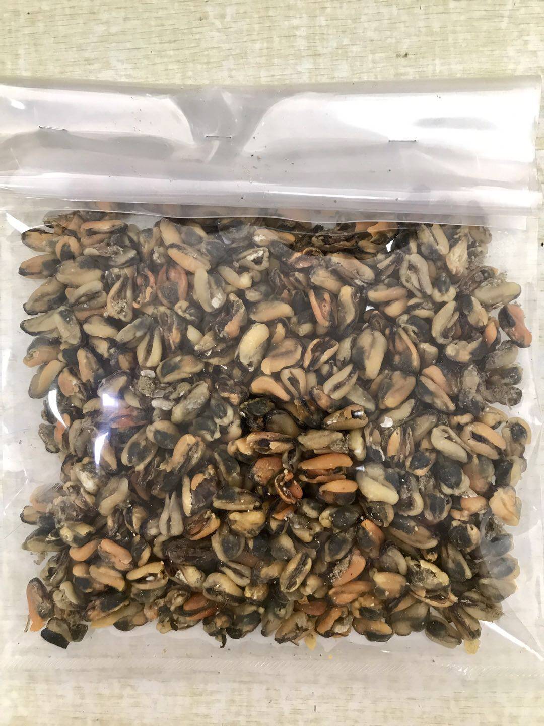 汕尾本港特产潮汕海味野生自晒淡菜贻贝干海虹干青口肉