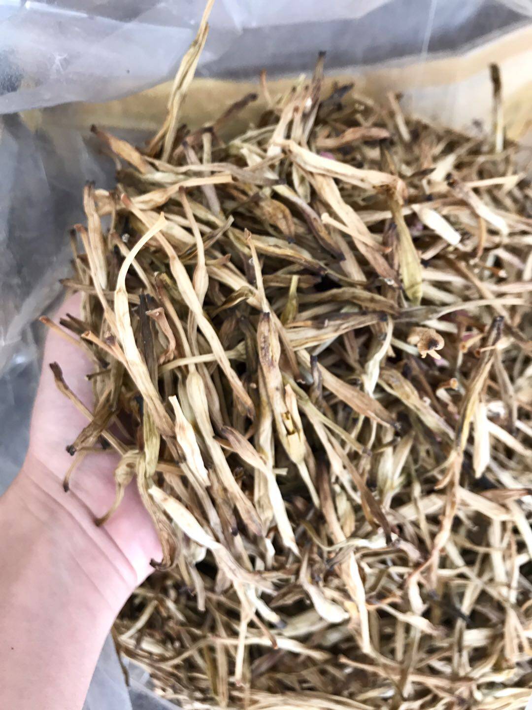 汕尾本港特产正宗海丰黄羌黄花菜金针菜皇斋