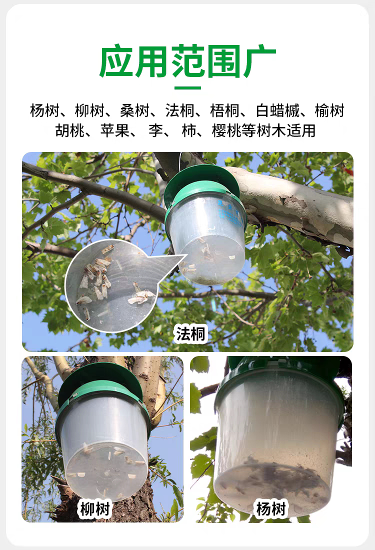 美国信息素诱剂美国白蛾诱芯诱捕器微管