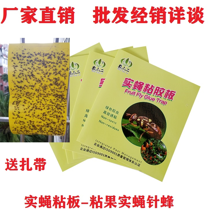 果实蝇诱粘板果蝇诱捕器瓜实蝇粘胶板针蜂粘虫板果树黄板 包邮