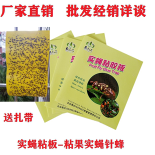 果实蝇诱粘板果蝇诱捕器瓜实蝇粘胶板针蜂粘虫板果树黄板 包邮