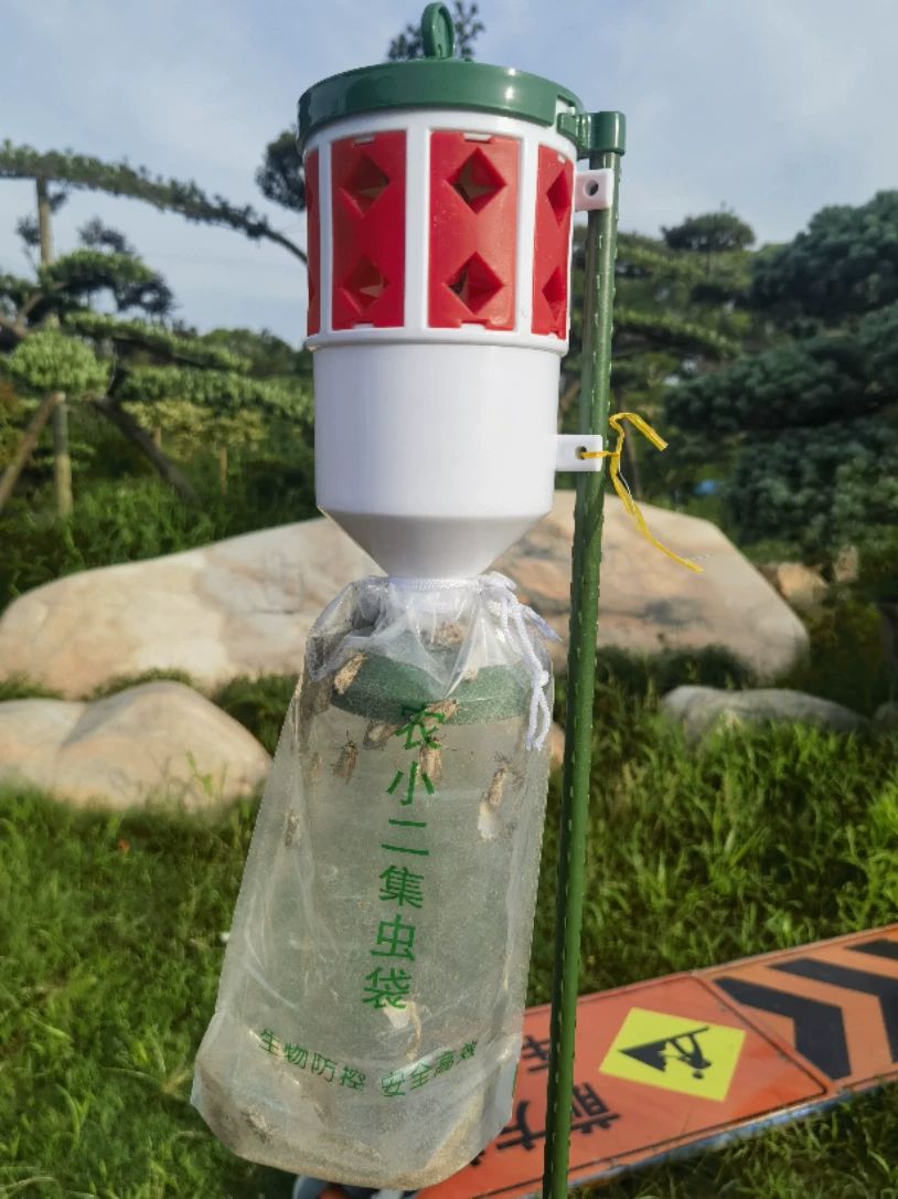 20根信息素昆虫包邮性诱剂