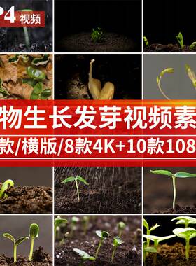 绿色植物种子发芽幼苗快速生长延时嫩苗从土壤破土而出短视频素材