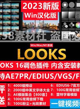 PR/AE/FCPX调色插件Looks红巨星红巨人调色电影视滤镜素材Win/Mac