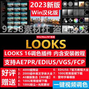 PR/AE/FCPX调色插件Looks红巨星红巨人调色电影视滤镜素材Win/Mac