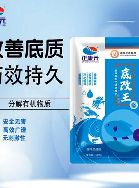 过硫酸氢钾复合盐改底王水产养殖鱼塘改底药净水底改王增氧片调水