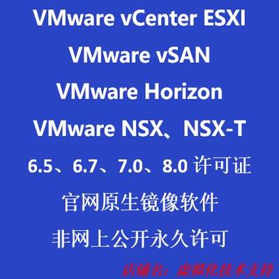 VMwarevcenter服务器定制服务