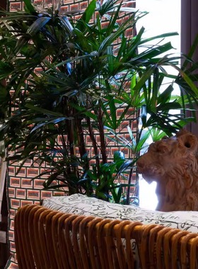 RUBELLI意大利原装进口面料DAPPLED BRICK EMERALD抱枕 窗帘家具