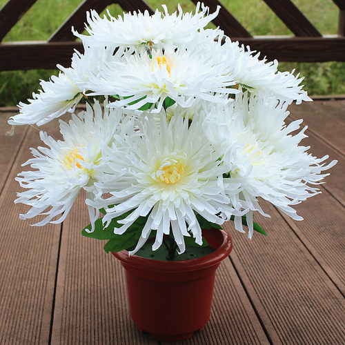 9头菊花束扫墓花上坟祭祀清明花