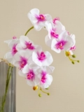 Phalaenopsis Simulation Цветочный высококачественный псевский качание
