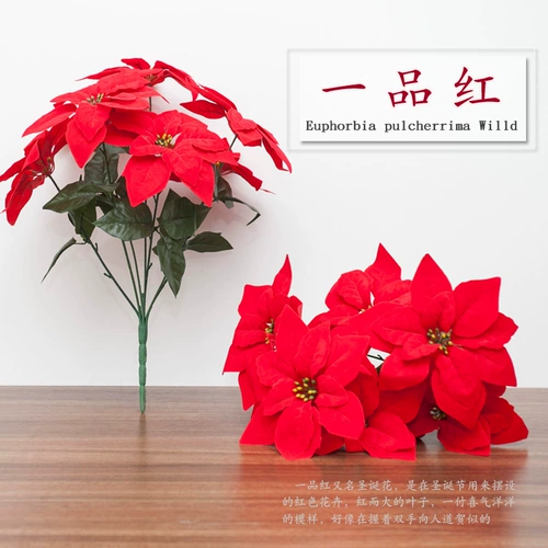 Рождественский цветок Yipin Red Simulation Цветочный шелковый цветочный цветочный фальшивый цветы рождественские красные красные цветочные бутылочные украшения украшения мебель мебель