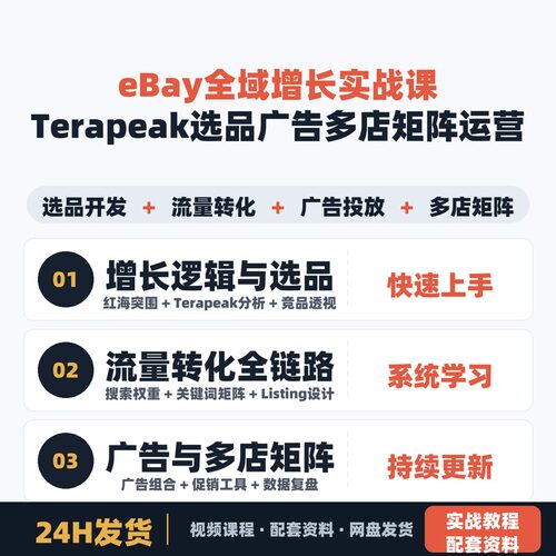 eBay全域增长实战课 Terapeak选品开发广告投放多店矩阵运营