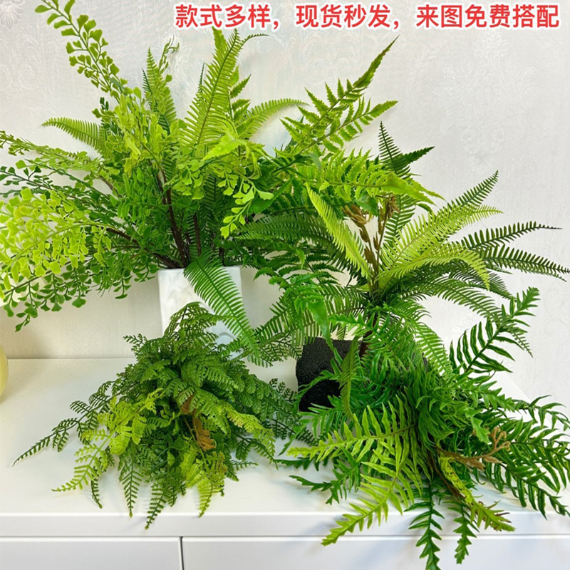 高仿真绿植波斯肾蕨热带雨林植物