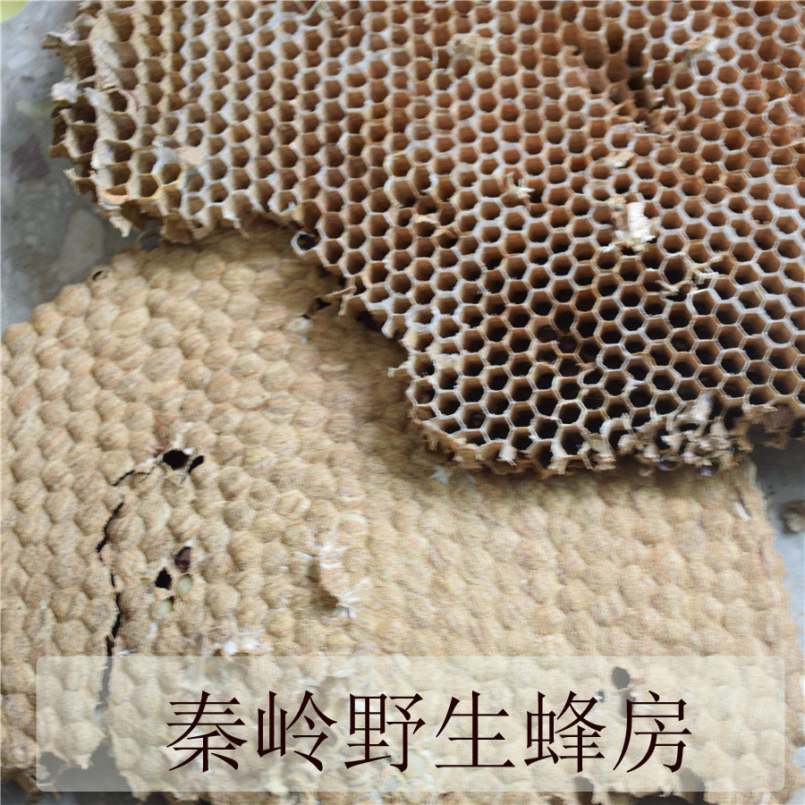 野生胡蜂中药材500g包邮