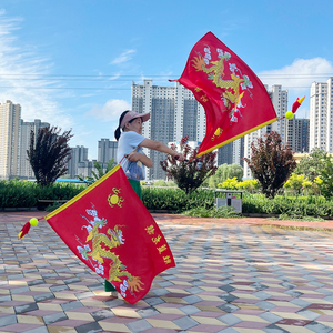 胜蓝龙凤旗 舞龙旗双旗 双杆带旗流星球 中老年广场舞健身表演道